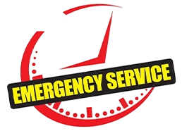 24/7 emergency pest services